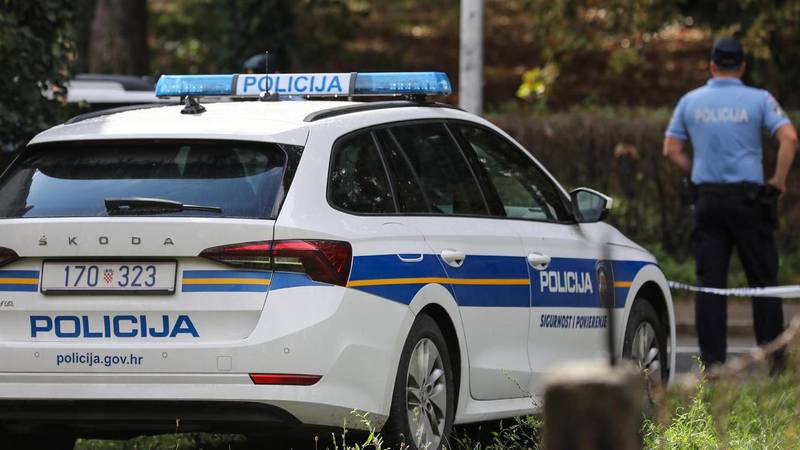 Tri psa izgrizla ženu u Grebaštici