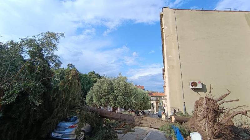 FOTO Pogledajte posljedice razornog nevremena u Istri