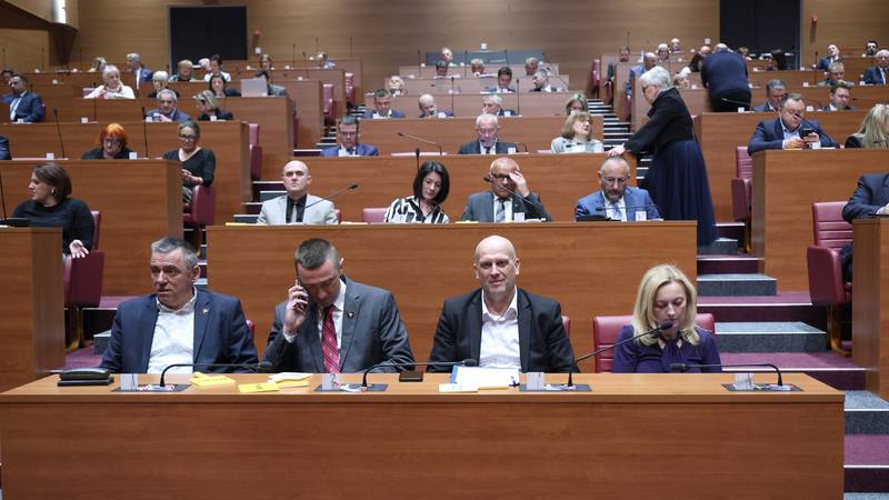 Zastupnici: Je li bilo propusta službi u selekciji vojnika za Počasno-zaštitnu bojnu?