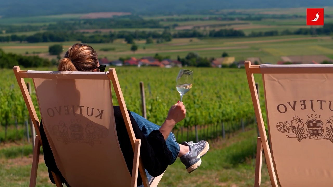 VIDEO Ovako se radi vinski turizam u srcu Slavonije. Posjetili smo Kutjevo
