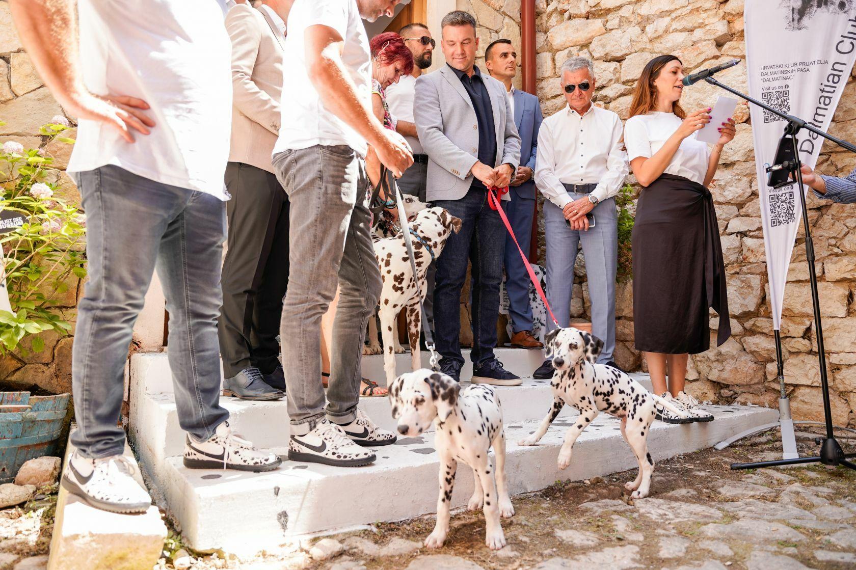 U Šibeniku otvorena Kuća dalmatinskog psa: ‘Ovo će biti jedna od glavnih turističkih atrakcija u Hrvatskoj‘