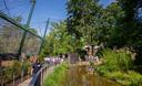 Zagrebački ZOO slavi 100. rođendan! ‘Zoološki vrt jedna je od 340 gradskih ustanova, no ona na koju smo najviše ponosni’