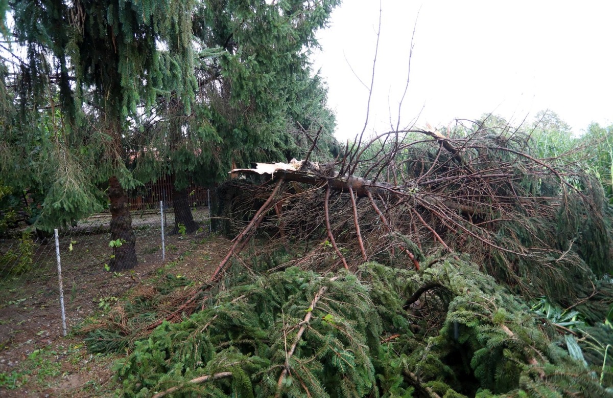 U Karlovcu nevrijeme rušilo stabla i telefonske stupove
