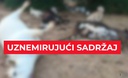 UZNEMIRUJUĆE Što se događa u Zagori? Misteriozni pomor stoke, stočari očajni: ‘Uginulo više od 50 krava’