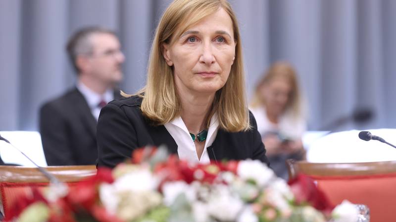 Sabor potvrdio novu ministricu regionalnog razvoja: Podržalo ju je 76 zastupnika većine