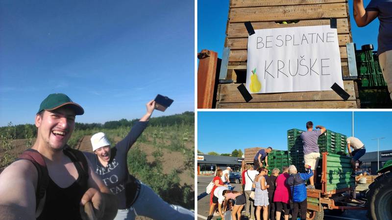 Sramota! Matiji su bezobrazni lopovi ukrali šest tona krušaka: ‘Ostalo sam podijelio ljudima’