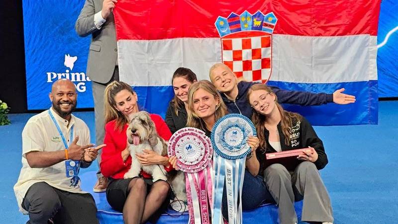 Senzacija u Helsinkiju! Hrvatska ima najljepšeg psa na svijetu
