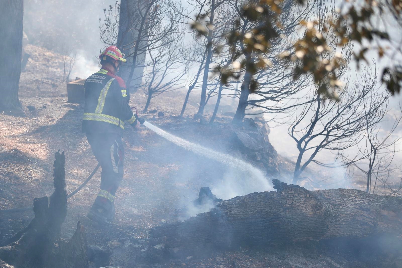 Razbuktao se požar kod Krila Jesenice, puno vatrogasaca se bori s vatrom