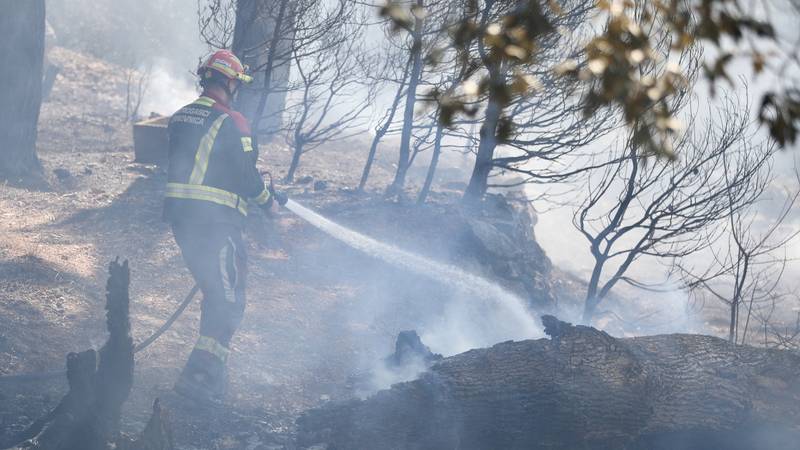 Požar kod Jesenice još nije lokaliziran: Stotinu vatrogasaca je cijelu noć gasilo požar…