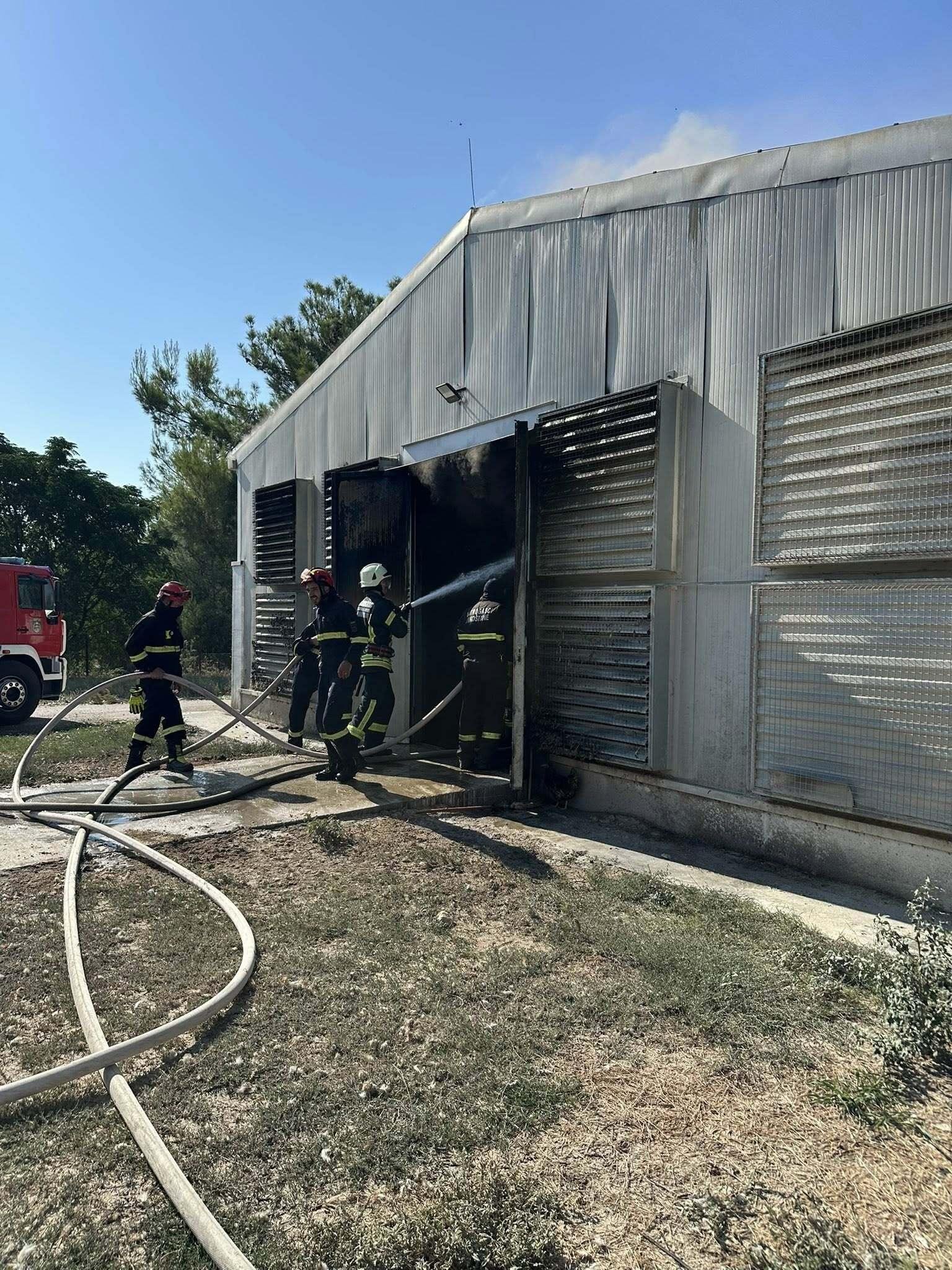 Peradarniku pokraj Biograda na Moru nije bilo spasa, stradalo preko 18 tisuća komada peradi