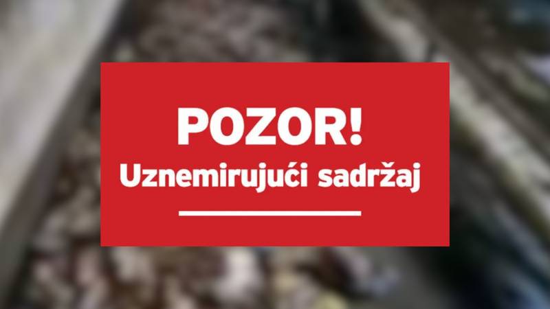 VIDEO Kod Biograda je izgorio peradarnik: Stradalo je više od 18 tisuća komada peradi…
