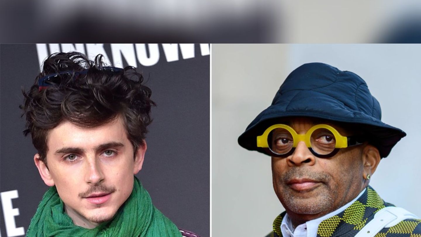 Timothée Chalamet: Redatelj kulta želi se okrenuti s njim