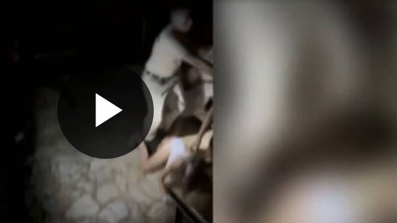 Objavili su snimku napada na turiste u Istri: ‘Sve je bilo puno krvi. Udarali su i curu na podu’