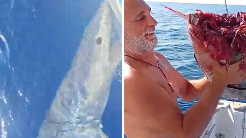 VIDEO Ralje kod Žirja! Ribar u šoku: Morski pas Mako zagrizao mi je brod,  pojeo je i dio ulova